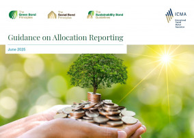 Guidance on Allocation Reporting - June 2025