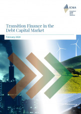 ICMA paper - Transition Finance in the Capital Market - February 2024