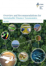 Overview and Recommendations for Sustainable Finance Taxonomies - May 2021